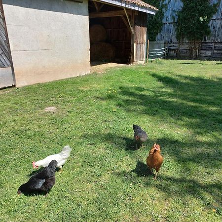 L' Embellie Sur Lot Bed & Breakfast Sainte-Livrade-sur-Lot ภายนอก รูปภาพ