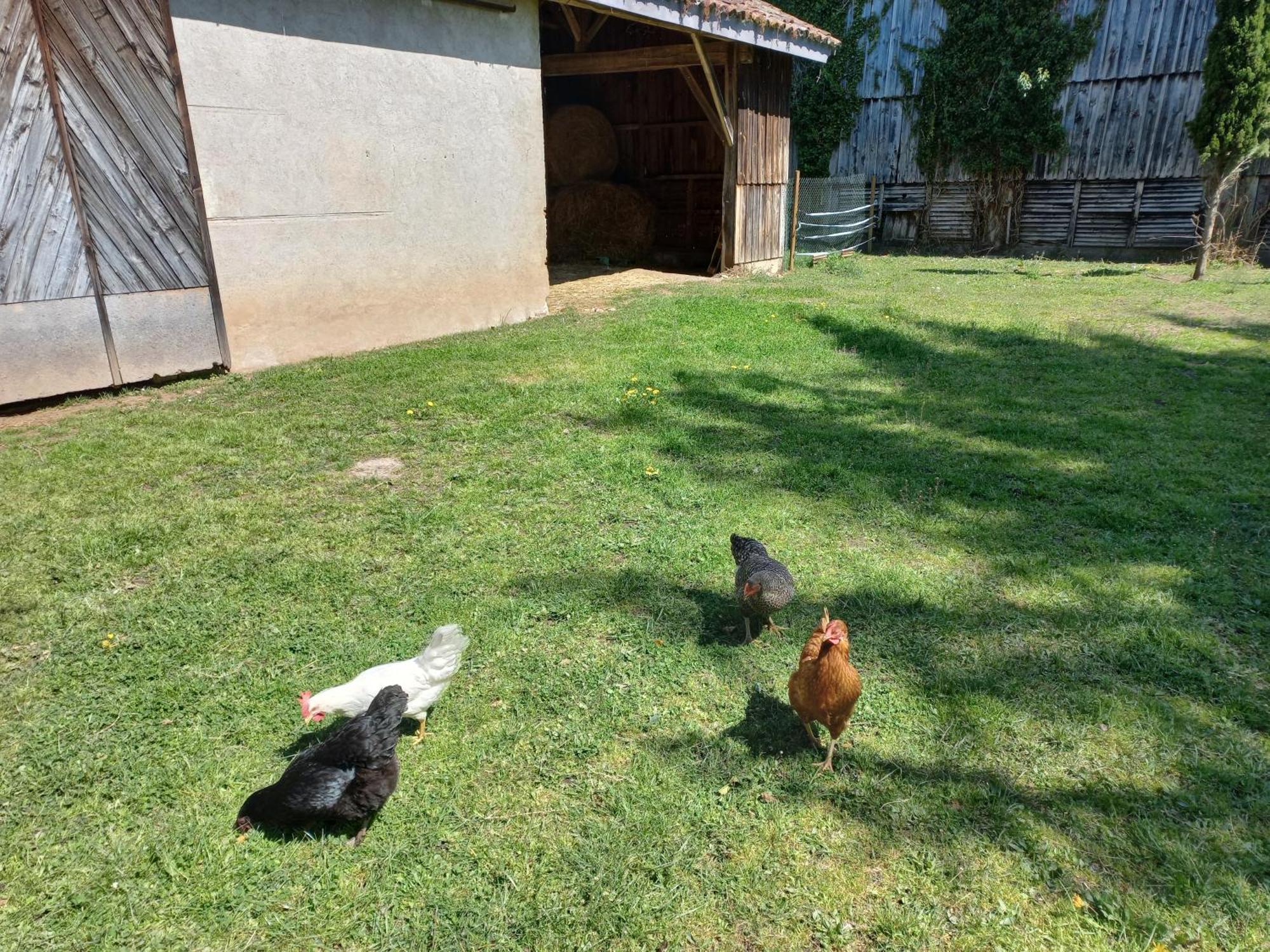 L' Embellie Sur Lot Bed & Breakfast Sainte-Livrade-sur-Lot ภายนอก รูปภาพ